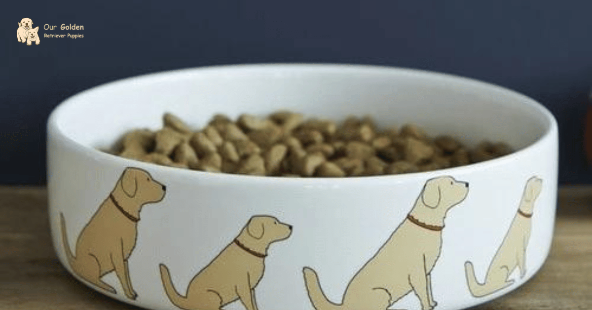 Golden Retriever Puppy Food Trends In 2024