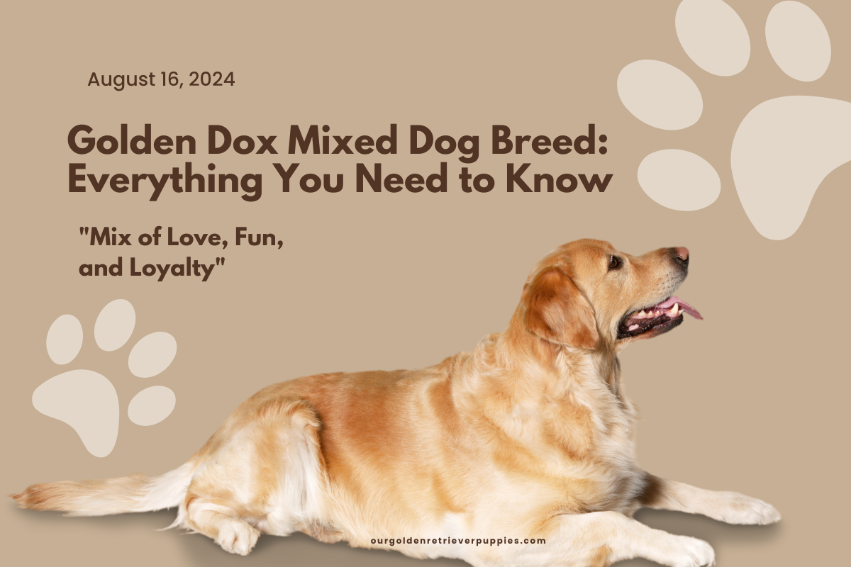 Golden Dox
