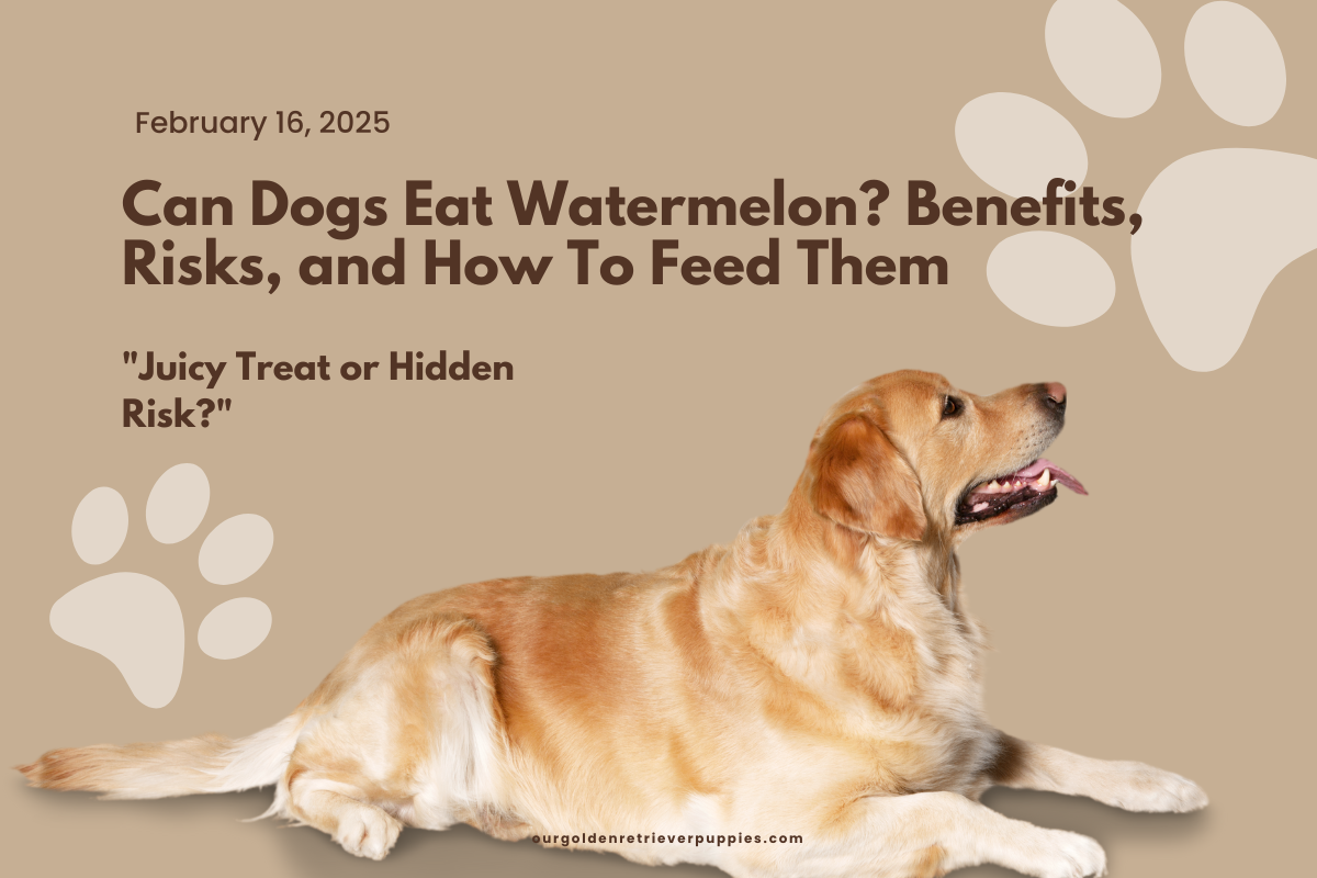 Can Dogs Eat Watermelon